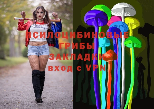 дживик Армянск